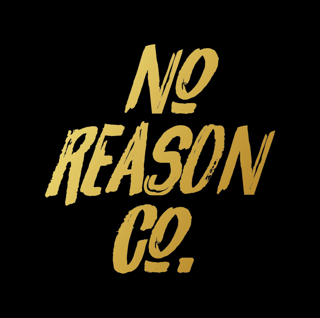 No Raisons Icon No Reason Co.